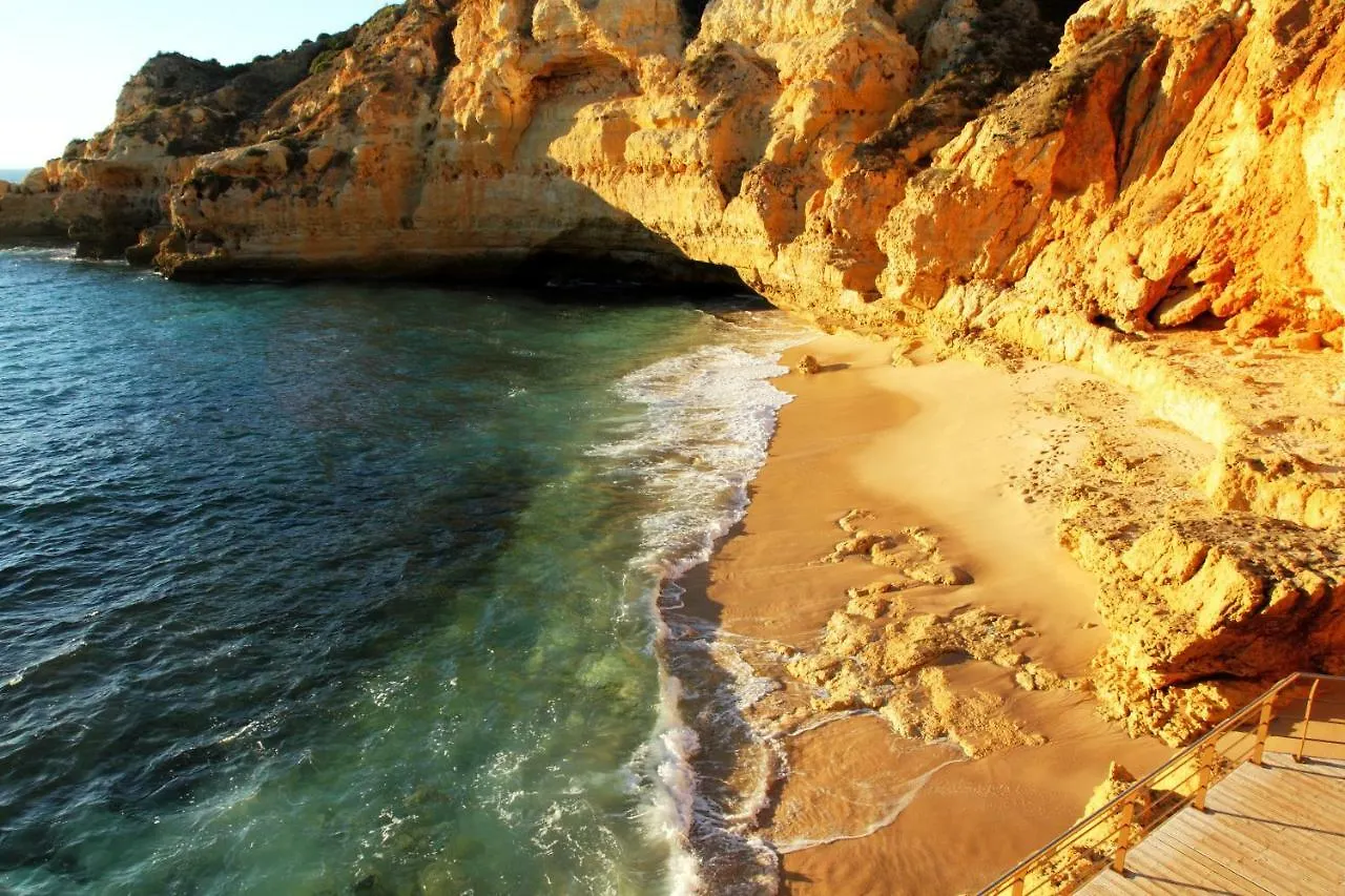 Holiday home Casa Palmeira Villa Carvoeiro